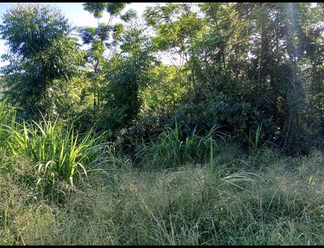 FARM FOR SALE IN RAMSGATE